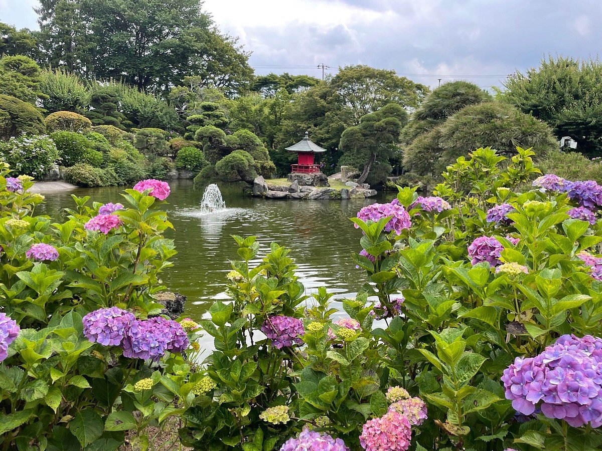 🌳 호와엔 정원(호와엔) 이미지 12